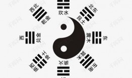 八卦爆料素材下载安装最新版,八卦爆料素材下载安装，最新版功能大盘点